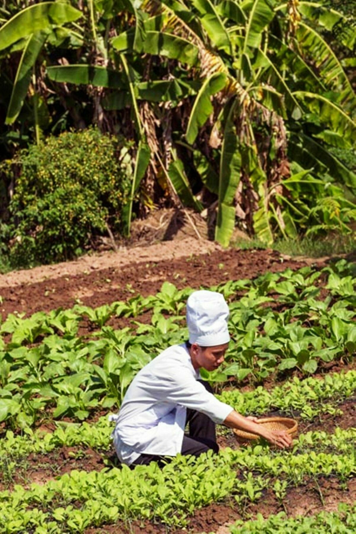 Mekong Riverside Boutique Resort & Spa Cái Bè Kültér fotó